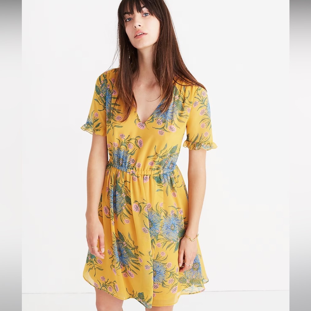 Madewell Sweetgrass Ruffle Sleeve Dress in Painted Bloom